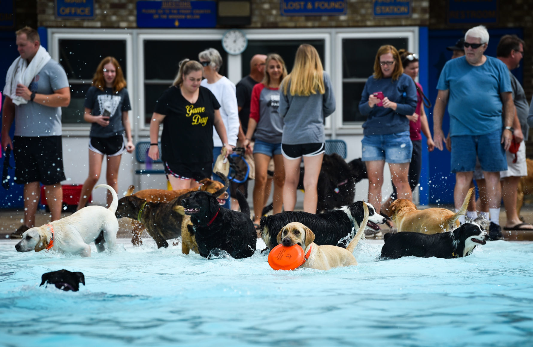 082919-bet-doggysplash-121a.JPG